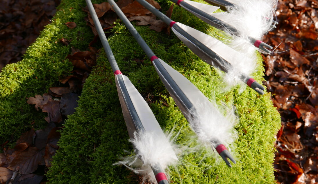 Bild auf dem einige Pfeilrückseiten zu sehen sind